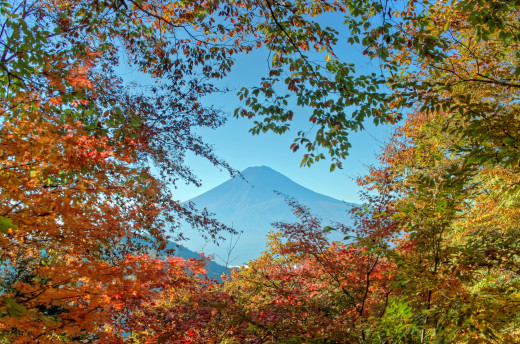 579014 (a): :2200x1452